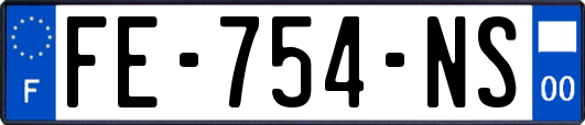 FE-754-NS