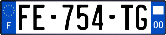 FE-754-TG