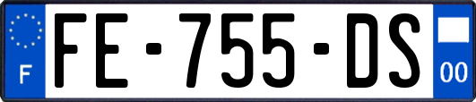 FE-755-DS