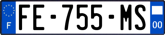 FE-755-MS