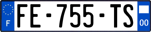 FE-755-TS