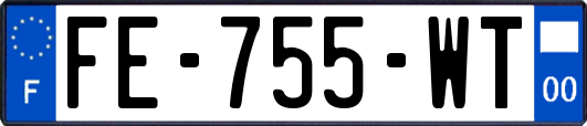 FE-755-WT