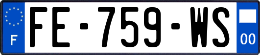 FE-759-WS