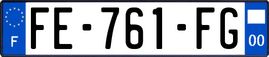 FE-761-FG