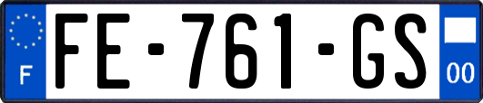 FE-761-GS