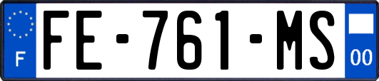 FE-761-MS