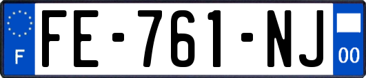 FE-761-NJ