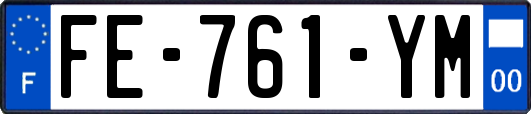 FE-761-YM