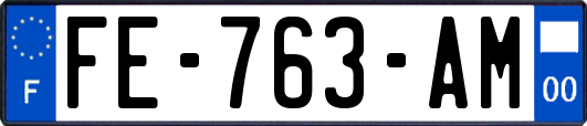 FE-763-AM