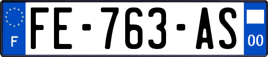 FE-763-AS