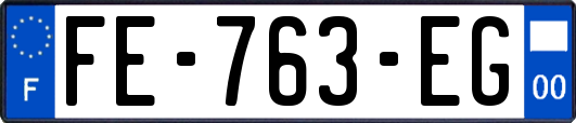 FE-763-EG