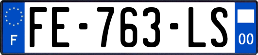 FE-763-LS