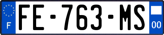 FE-763-MS