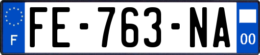 FE-763-NA
