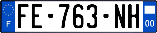 FE-763-NH