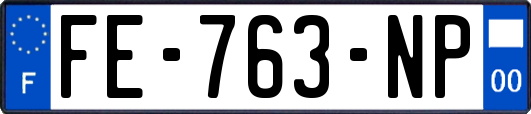 FE-763-NP