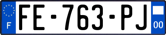 FE-763-PJ