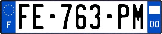 FE-763-PM