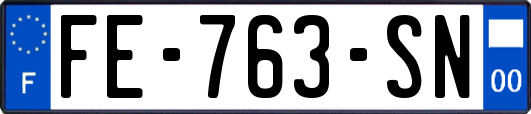 FE-763-SN