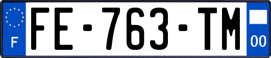 FE-763-TM