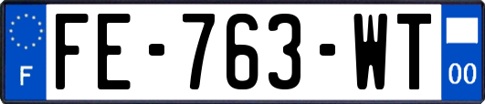 FE-763-WT