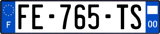 FE-765-TS