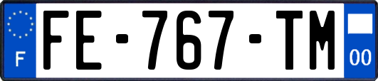 FE-767-TM