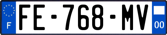 FE-768-MV