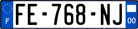 FE-768-NJ