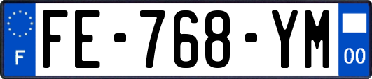 FE-768-YM