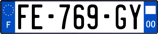 FE-769-GY