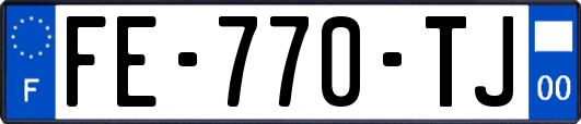 FE-770-TJ