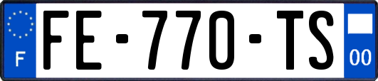 FE-770-TS