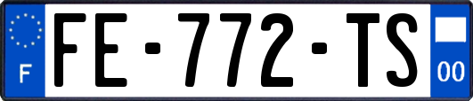 FE-772-TS