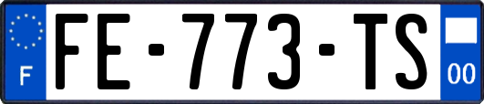FE-773-TS