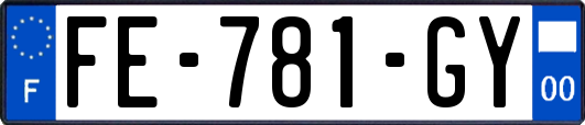 FE-781-GY