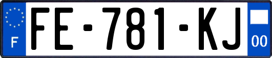 FE-781-KJ