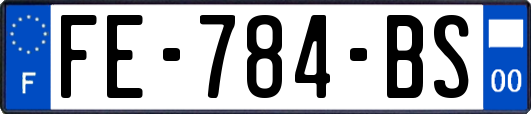 FE-784-BS