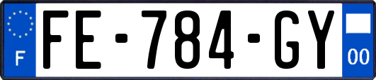 FE-784-GY