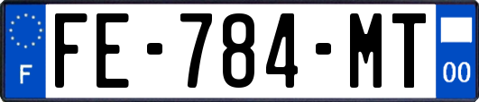 FE-784-MT