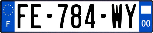 FE-784-WY