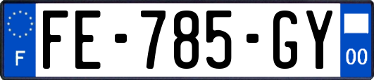 FE-785-GY