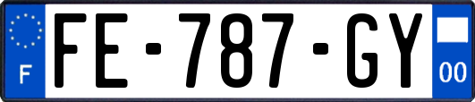 FE-787-GY