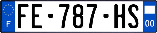 FE-787-HS