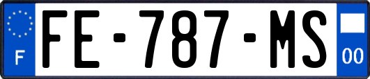 FE-787-MS