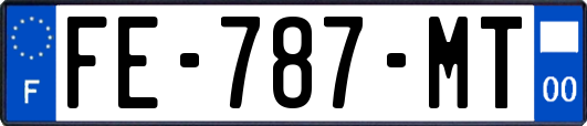 FE-787-MT
