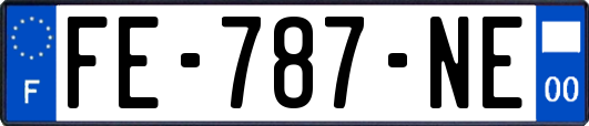 FE-787-NE