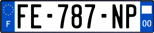 FE-787-NP