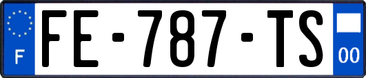 FE-787-TS