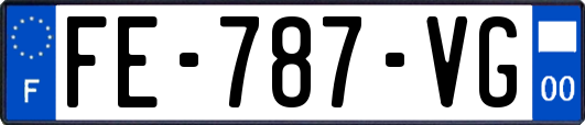 FE-787-VG